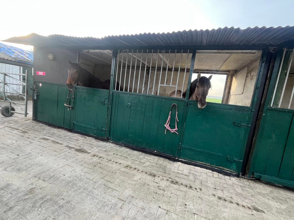 Paarden stalling en uitloop stallen, Stalling