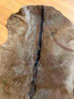 Geitenvacht 76/54, Gebruikt, 50 tot 100 cm, Bruin, Etten-Leur