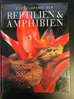 Boek Enzyklopädie der Reptilien & Amphibien, Boeken, Dieren en Huisdieren, Diverse auteurs, Ophalen of Verzenden, Zo goed als nieuw