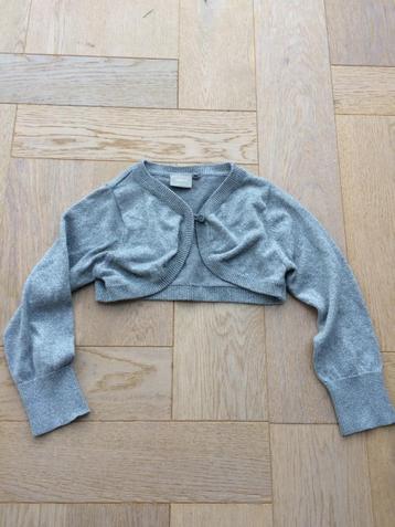 zgan zilverkleurig glitter bolero name it maat 104 beschikbaar voor biedingen