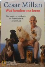 Wat honden ons leren, Cesar Millan, Verzenden, Zo goed als nieuw, Honden
