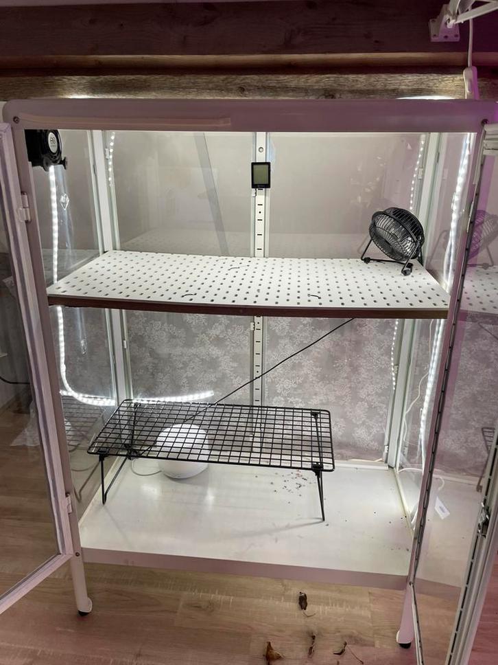 Ikea plantenkas, Huis en Inrichting, Kamerplanten, 100 tot 150 cm, Halfschaduw, Ophalen