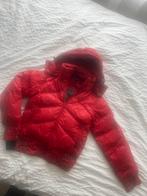 Rode Skogstad Damesjas, Ophalen of Verzenden, Zo goed als nieuw, Maat 38/40 (M), Rood