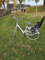 Batavus Mambo Damesfiets, Ophalen, Versnellingen, Batavus, 53 tot 56 cm