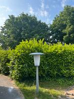 Laurier gratis ophalen, Tuin en Terras, Planten | Bomen, Ophalen of Verzenden, Halfschaduw, Overige soorten, 100 tot 250 cm