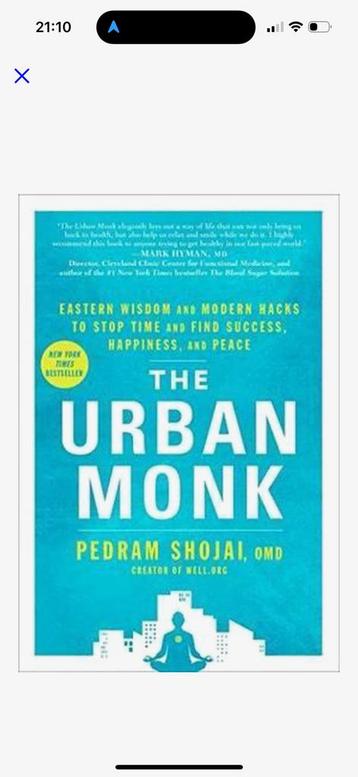 The urban monk van Pedrengo Shojai beschikbaar voor biedingen