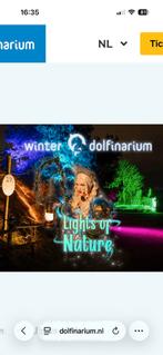 2 Tickets Winter Dolfinarium Lights of Nature geldig t/m 4/1, Drie personen of meer, Ticket of Toegangskaart