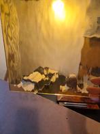 Glas-in-lood benodigdheden + 8 glasplaten, Doe-het-zelf en Verbouw, Glas en Ramen, Ophalen, Zo goed als nieuw