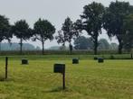 22 Midi balen hooi. 14/8 geperst., Dieren en Toebehoren, Stalling en Weidegang