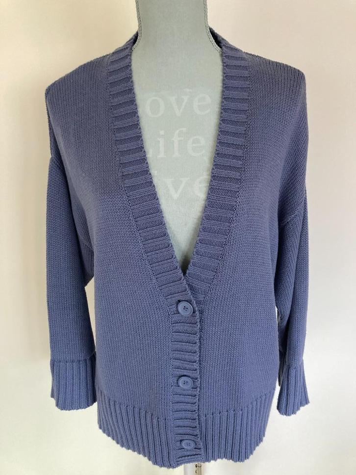 Vest - LIV, Kleding | Dames, Grote Maten, Gedragen, Trui of Vest, Overige kleuren, Ophalen of Verzenden