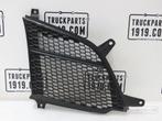 Scania 2307648 Grille rooster, Auto-onderdelen, Vrachtwagen-onderdelen, Ophalen, Gebruikt, Scania, Carrosserie en Plaatwerk