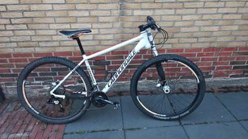 cannondale 29 lefty mountainbike  beschikbaar voor biedingen