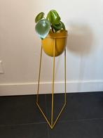 Plantenstandaard plantenbak pot mosterdgeel, Ophalen of Verzenden, Halfschaduw, Minder dan 100 cm