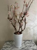 Bloesemboom in witte pot, Ophalen of Verzenden, Zo goed als nieuw