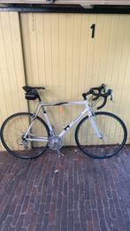 Koga miyata, Fietsen en Brommers, Fietsen | Racefietsen, Carbon, Ophalen of Verzenden, Zo goed als nieuw, 57 tot 61 cm