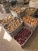 Verse oogst: Aardappelen en uien in kratten, Diversen, Ophalen