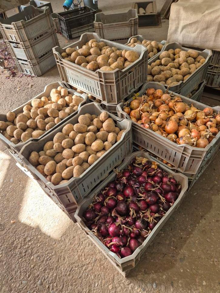 Verse oogst: Aardappelen en uien in kratten, Diversen, Levensmiddelen, Ophalen