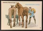 dl 1960 huisdier paard koudbloed Rijnlands Trekpaard  Illust, 1940 tot 1960, Overige thema's, Ongelopen, Verzenden