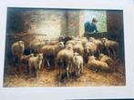 Olieverf met schapen  van speudo speudo Cor Bouter Gouda, Antiek en Kunst, Kunst | Schilderijen | Klassiek, Ophalen
