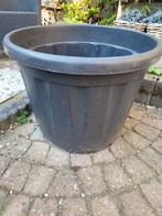 Grote stevige bak tuin/ buiten, Ophalen, Kunststof, Minder dan 60 cm, Zo goed als nieuw