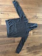 Superdry Hoodie Maat M, Kleding | Heren, Truien en Vesten, Maat 48/50 (M), Ophalen of Verzenden, Zo goed als nieuw, Grijs