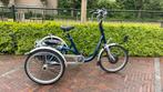 Van Raam elektrische driewieler, nieuwstaat! Maxi., Fietsen en Brommers, Ophalen of Verzenden, Zo goed als nieuw