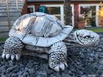 XL Reuzenschildpad 70kg schildpad reptielen vijver Kröte, Tuin en Terras, Tuinbeelden, Ophalen of Verzenden, Nieuw, Beton, Dierenbeeld