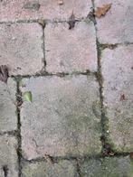 Tegels 45/50m2 gratis plus vergoeding, Ophalen, Gebruikt, Beton, Terrastegels
