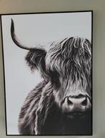 Schotse Hooglander Print, Ophalen of Verzenden, 50 tot 75 cm, Oorspronkelijke maker, 50 tot 75 cm