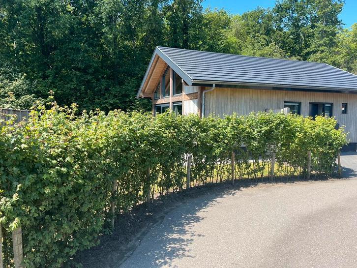 NOG VRIJ VAN 3 T/M 31 JULI EN 7 T/M 14 AUGUSTUS!!, Vakantie, Vakantiehuizen | Nederland, Zuid-Holland, Chalet, Bungalow of Caravan