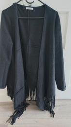 Suède jasje, Kleding | Dames, Ophalen of Verzenden, Gedragen, Maat 42/44 (L), Bruin
