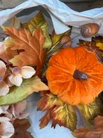 Herfstkrans met pompoenen en bladeren, Tuin en Terras, Ophalen of Verzenden, Najaar, Halfschaduw, Zaad