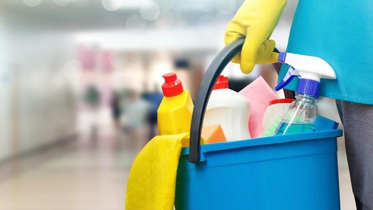 Gezocht: ZZP'ers voor huishoudelijk werk vanaf 3 u p/w, Diensten en Vakmensen, Huishoudelijke hulp, Koken, Schoonmaken, Strijken
