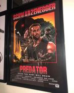Predator, Ophalen of Verzenden, Zo goed als nieuw, A1 t/m A3, Film en Tv