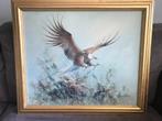 Vintage Olieverf Schilderij Roofvogel Gesigneerd., Antiek en Kunst, Ophalen of Verzenden