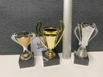 Trofeeën/wedstrijdbekers/sportprijzen/bokalen, set 48, Ophalen of Verzenden, Gebruikt