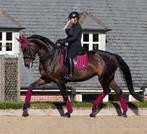 LeMieux Loire Mulberry dressuur dekje GRATIS VERZENDING, Dieren en Toebehoren, Paarden en Pony's | Dekens en Dekjes, Nieuw, Dekje