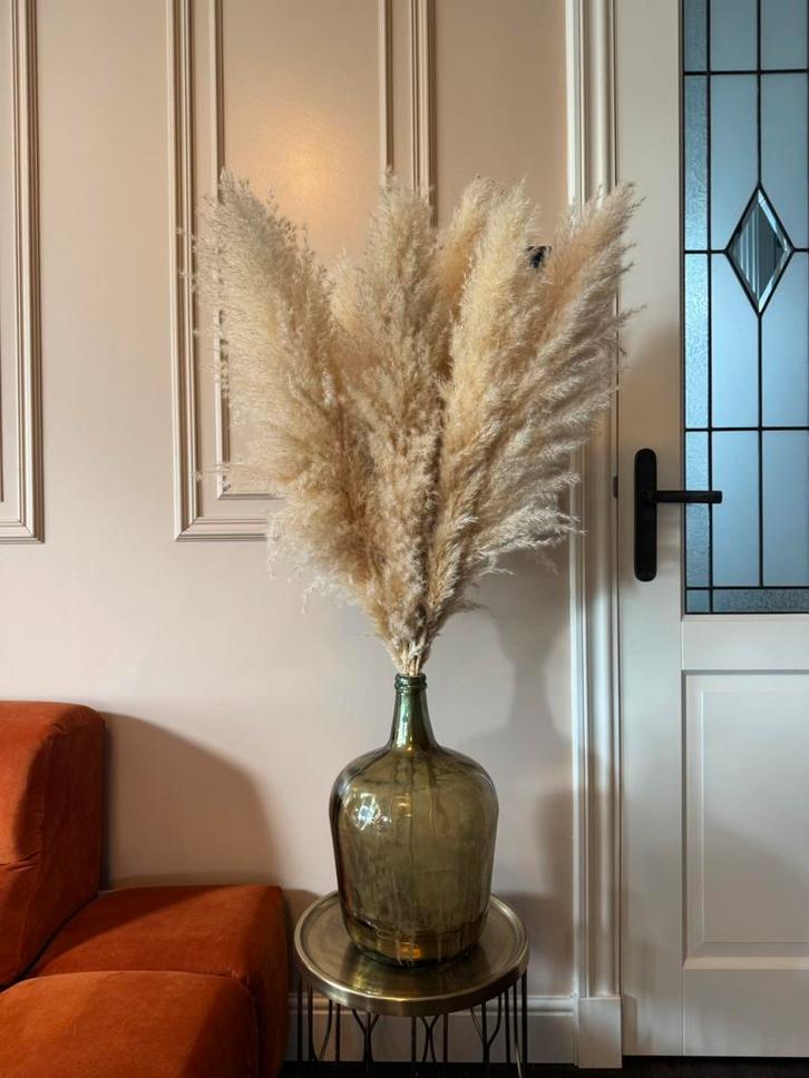 Mooie volle bos lichtbeige pampasgras, Huis en Inrichting, Woonaccessoires | Droogbloemen, Zo goed als nieuw, Ophalen of Verzenden