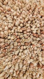 Vloerkleed Salsa Brinker, Huis en Inrichting, Stoffering | Tapijten en Kleden, Ophalen, Vloerkleden Vloerkleed Brinker carpets