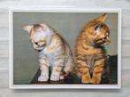 Twee spiegelbeeldige kittens op tafel, Ophalen of Verzenden, 1980 tot heden, Ongelopen, Hond of Kat