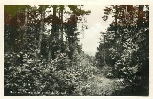 (387-204-005) Barchem Vergezicht vanaf de Koepel, Verzamelen, Ansichtkaarten | Nederland, Gelderland, Verzenden