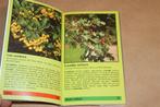 Bessen — Herkennen van Eetbare en Giftige Soorten, Boeken, Ophalen of Verzenden, Gelezen