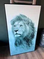 Grote Leeuw Poster in Frame - Leen Bakker, Ophalen, Zo goed als nieuw, Foto of Poster, 75 cm of meer