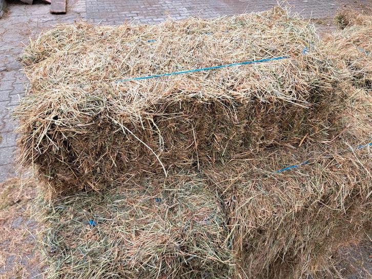 Hooi balen weidehooi kleine pakjes, Dieren en Toebehoren, Dierenvoeding, Vee, Ophalen of Verzenden