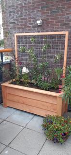 Grote douglas plantenbak met klimrek - 150x60x175, Ophalen, Vierkant, Nieuw, Tuin
