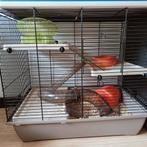 Hamsterkooi en toebehoren, Dieren en Toebehoren, Knaagdieren en Konijnen | Hokken en Kooien, Kooi, Minder dan 75 cm, Zo goed als nieuw