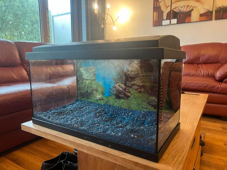 Aqaurium met bellenblazer, Dieren en Toebehoren, Vissen | Aquaria en Toebehoren, Zo goed als nieuw, Leeg aquarium, Ophalen