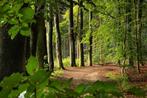 Gezocht: Bosgrond te koop gevraagd, Tuin en Terras, Palen, Balken en Planken, Ophalen of Verzenden, Zo goed als nieuw