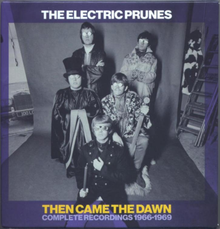 6 CD,s Box The Electric Prunes Then Came the Dawn 1966-1969, Cd's en Dvd's, Cd's | Rock, Zo goed als nieuw, Progressive, Ophalen of Verzenden