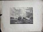 Johannes Christiaan d'Arnaud Gerkens "Koe & Schaap Idylle", Antiek en Kunst, Kunst | Litho's en Zeefdrukken, Ophalen